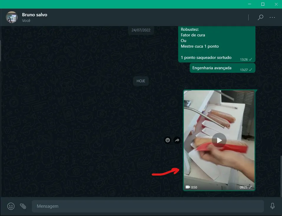 Abra o vídeo em tela cheia - Como baixar vídeo do WhatsApp Web