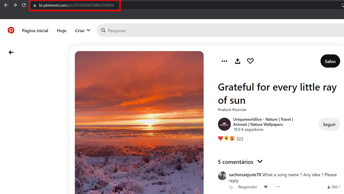 Após encontrar o vídeo é fácil copiar a URL