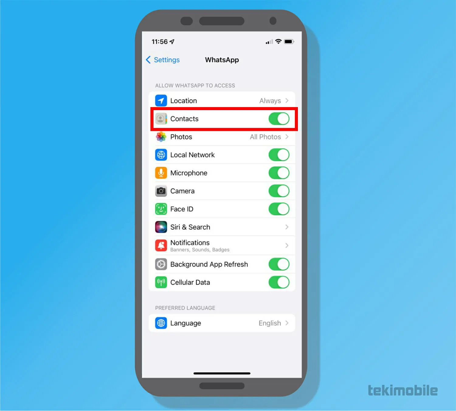 Toque em contatos para ligar - Como atualizar a lista de contatos do WhatsApp [iPhone e Android]