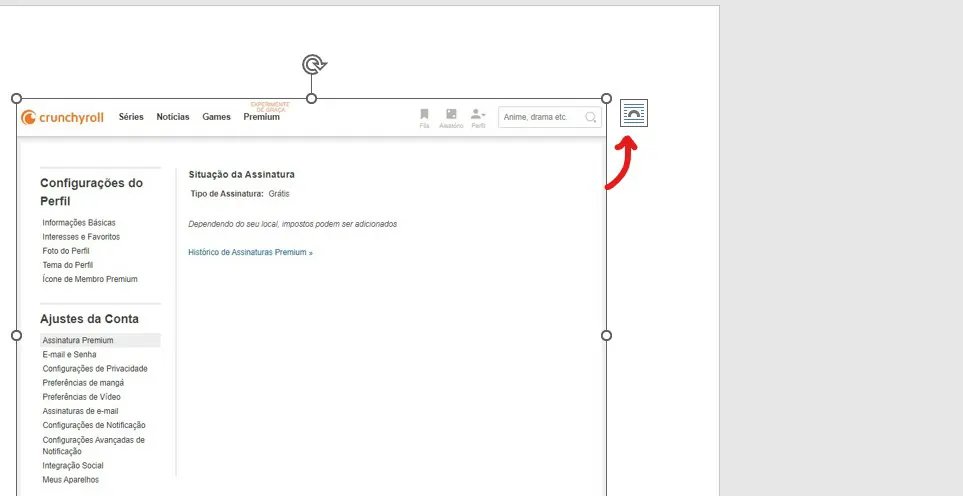 Clique sobre a opção - Como colocar imagens no Word e Excel