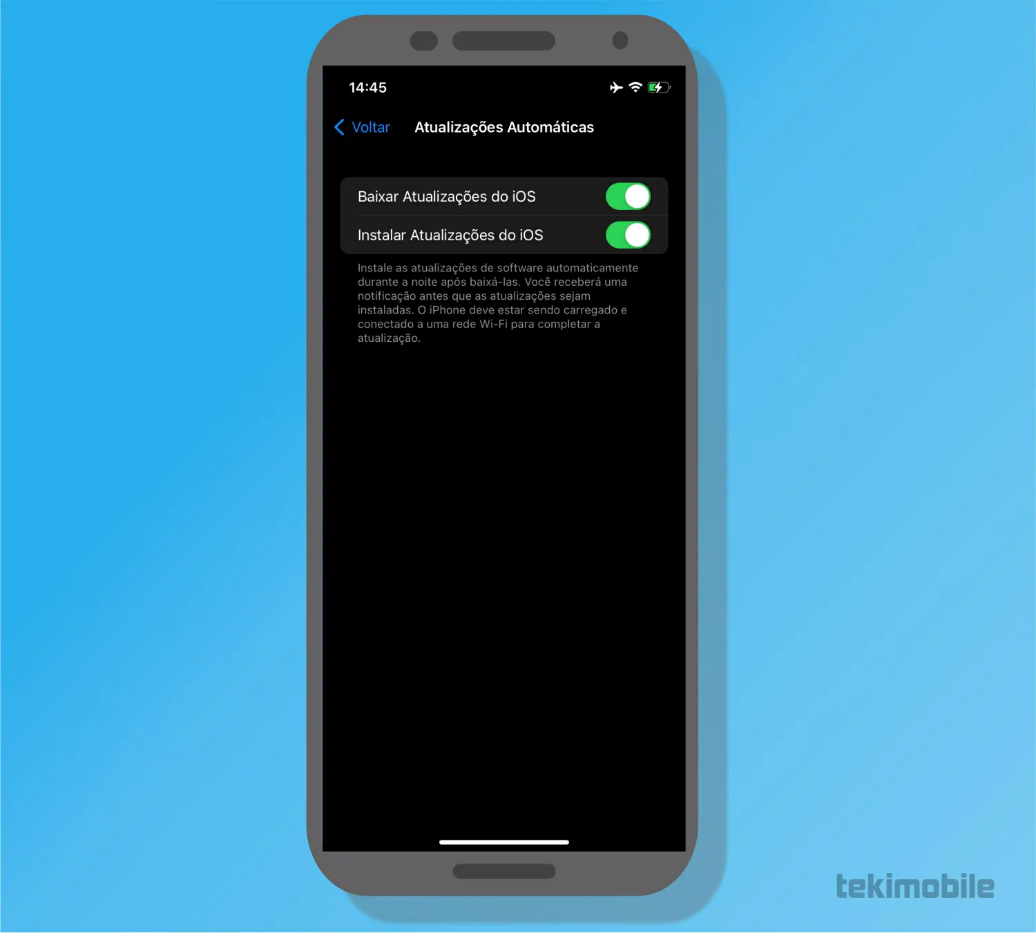 Marque as opções - Como atualizar o iPhone