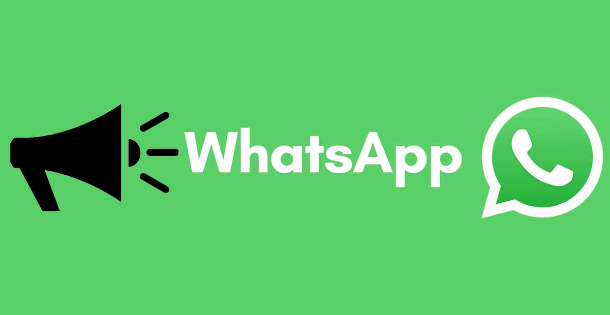 Como fazer uma denúncia no WhatsApp de 3 maneiras