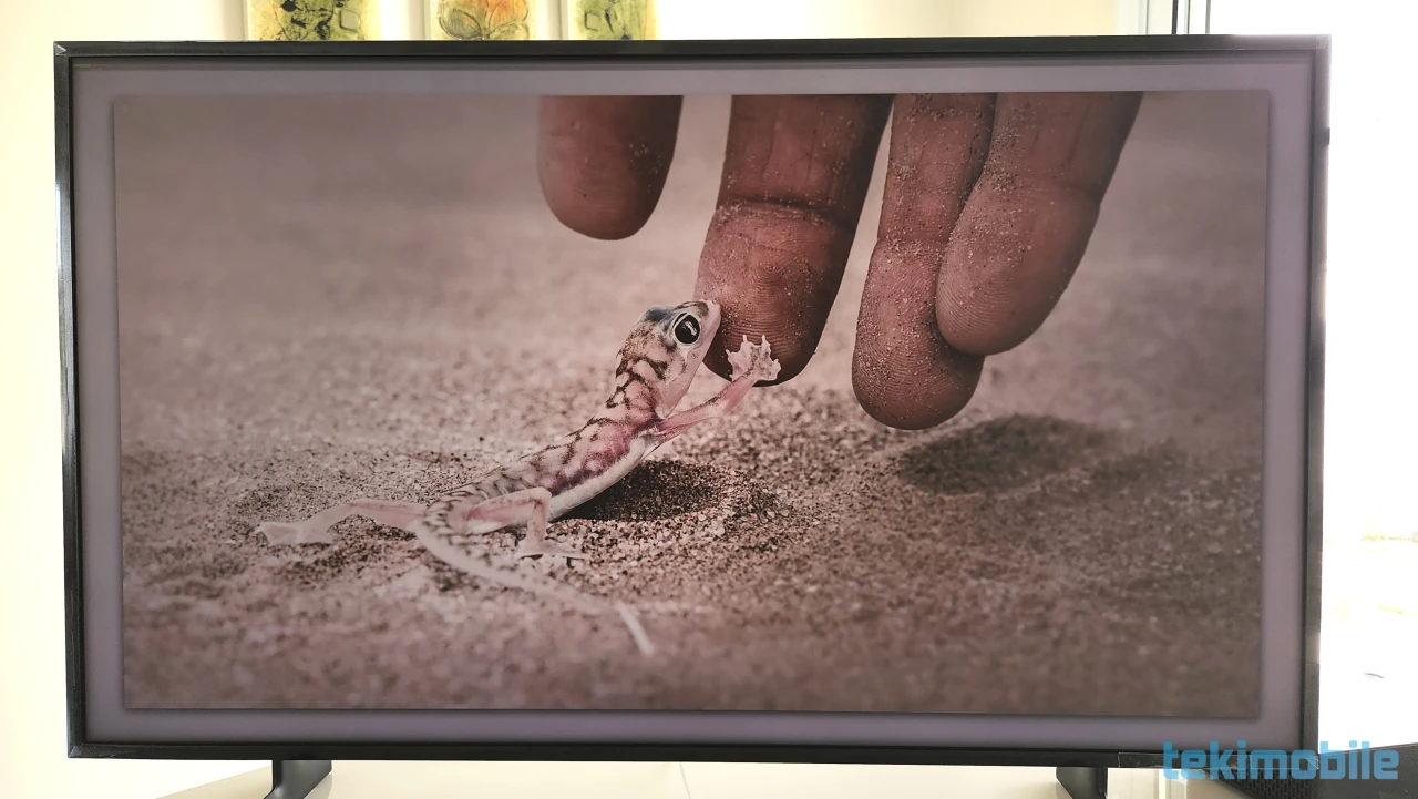 Imagem de uma obra de arte de uma foto de um lagarto na The Frame 2022