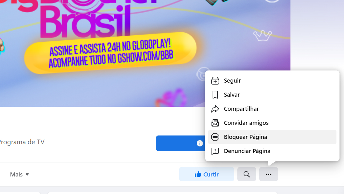Como bloquear tudo sobre bbb 23 página