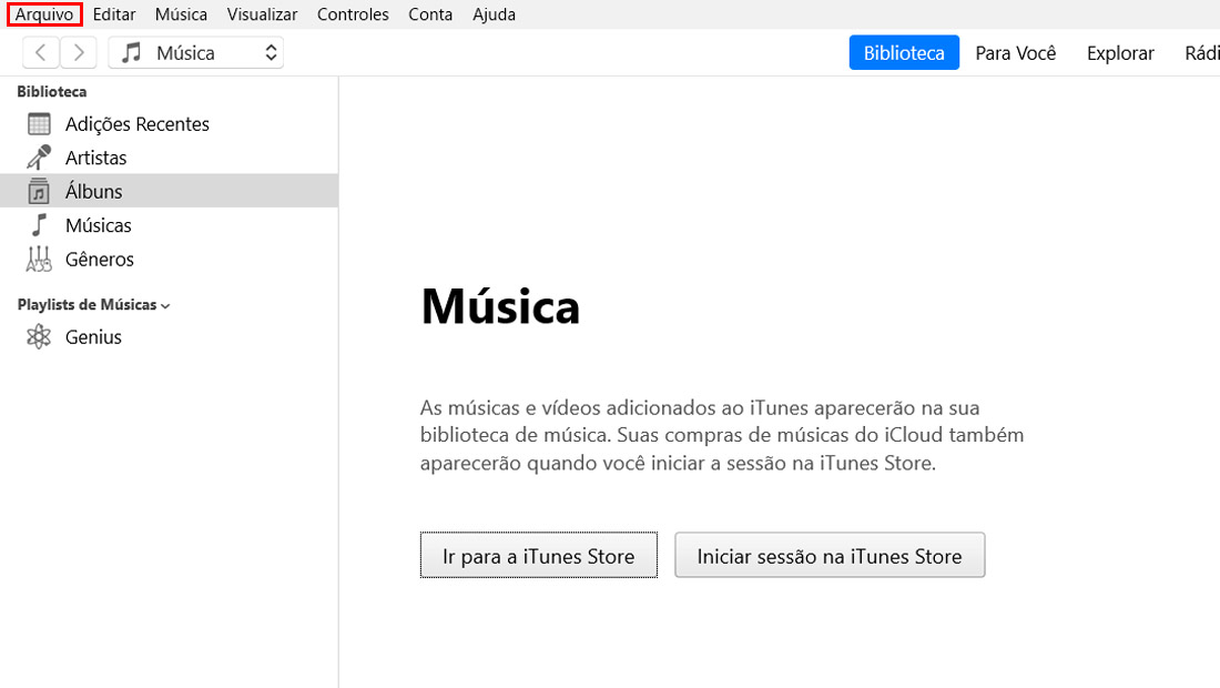 Arquivo itunes windows