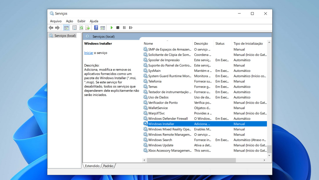 windows installer serviços