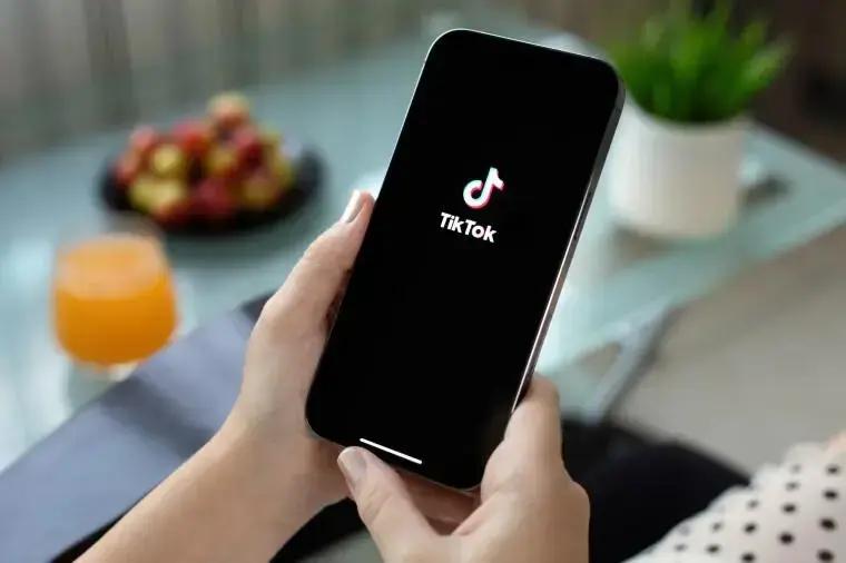 TikTok lança recurso de verificação colaborativa de vídeos nos EUA