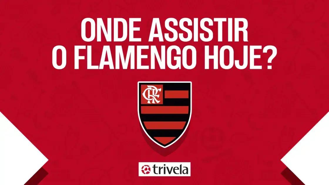 Jogo do Flamengo hoje: descubra onde assistir ao vivo e não perder nenhum lance